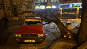 EDİRNE (AA) – Edirne'de üzerine ağaç devrilen otomobilde maddi hasar