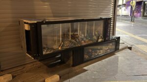 HATAY (AA) – Hatay'ın İskenderun ve Dörtyol ilçelerinde fırtına nedeniyle