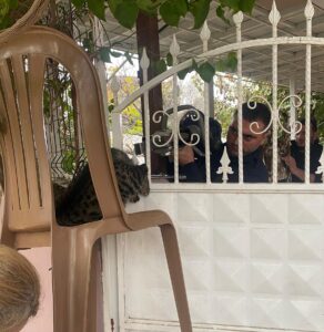 HATAY (AA) – Hatay'ın Defne ilçesinde bir evin korkuluk demirlerine