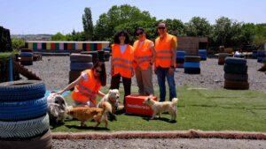 - Hepsiburada müşterileri Kurtaran Ev mağazasından kart satın alarak da