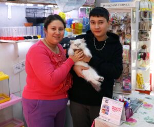 İZMİR (AA) – İzmir'in Bornova ilçesinde petshoptan çalınan kedi, olayın