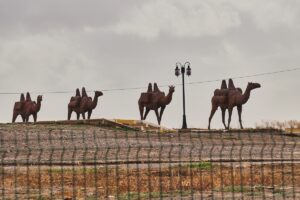 ASTANA (AA) – Kazakistan Parlamentosunun alt kanadı Meclis'te "Türk dünyasının