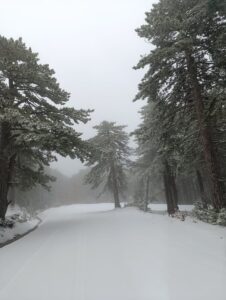 BALIKESİR (AA) – Balıkesir ve Çanakkale sınırlarındaki Kazdağları'nda geceden itibaren