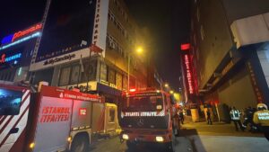 İSTANBUL (AA) – Küçükçekmece'de çatıdaki kuş kümesinden çıkan ve 2