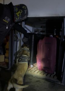 MUŞ (AA) – Muş'ta şehirler arası yolcu taşınan otobüste 16