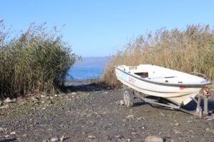 SAKARYA (AA) – EMRE AYVAZ – Marmara Bölgesi'nin en önemli