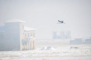 HAKKARİ (AA) – Hakkari'nin Yüksekova ilçesinde bu yıl göç etmeyen