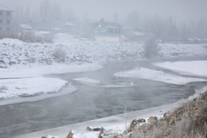 AĞRI (AA) – Ağrı, Kars ve Ardahan'da, dondurucu soğukların etkisiyle