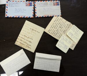 AYDIN (AA) – İstanbul'da yaşayan Serkan Topal, antika pazarından satın