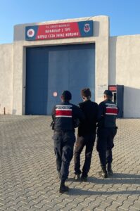 ​​​​​​​ANTALYA (AA) – Antalya'nın Akseki ilçesinde 3 köpeğin saldırdığı 85