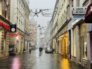 SARAYBOSNA (AA) – Bosna Hersek'te başkent Saraybosna başta olmak üzere