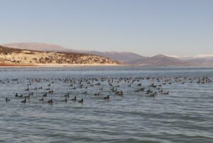 BURDUR (AA) – Doğa Koruma ve Milli Parklar 6. Bölge