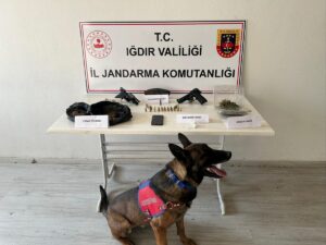 IĞDIR (AA) – Iğdır'da uyuşturucu ticareti yaptığı öne sürülen zanlı