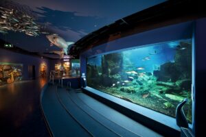 İSTANBUL (AA) – İstanbul Akvaryum, yarıyıl tatilinde çocuklar için özel