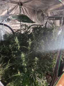 İZMİR (AA) – İzmir'in Çeşme ve Seferihisar ilçelerinde uyuşturucu ticareti