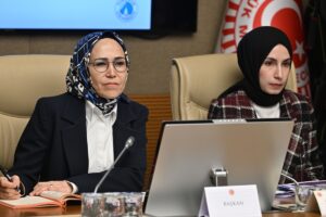 TBMM (AA) – Kadına Karşı Şiddet ve Ayrımcılığın Önlenmesine Yönelik