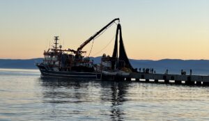 SİNOP (AA) – Üç tarafı denizle çevrili Sinop'ta, kentin güneyinde