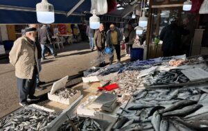 SİNOP (AA) – Karadeniz'de devam eden olumlu hava koşulları balık