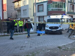 MANİSA (AA) – Manisa'nın Akhisar ilçesinde panelvan minibüsün çarptığı yaşlı