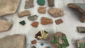 VAN (AA) – MESUT VAROL – Türk ve Moğol bilim