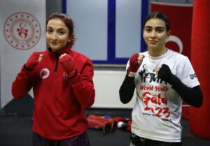 BİTLİS (AA) – ŞENER TOKTAŞ – Muaythai ve kick boksta