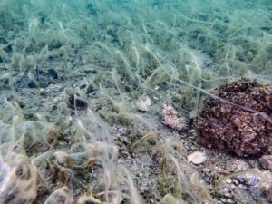 BALIKESİR (AA) – Bandırma Onyedi Eylül Üniversitesi Denizcilik Fakültesi Öğretim