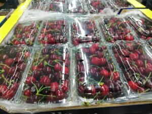 ANTALYA (AA) – HATİCE ÖZDEMİR TOSUN – Türkiye genelinde 2024'te