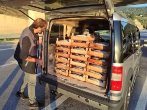 SİNOP (AA) – Sinop'ta geçen yıl kaçak su ürünleri avcılığı