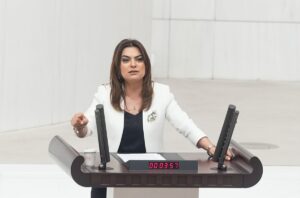 TBMM (AA) – AK Parti Grup Başkanvekili Leyla Şahin Usta,