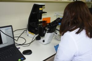 MALATYA (AA) – ORHAN YOLDAŞ – Malatya'da iki üniversiteden 6