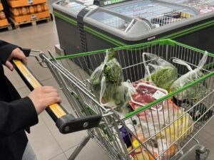 KONYA (AA) – MELİKE KESKİN – Selçuk Üniversitesi Veteriner Fakültesi