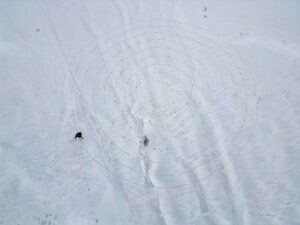 VAN (AA) – Van'ın Edremit ilçesinde onlarca türden kuşun barındığı