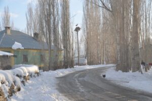 HAKKARİ (AA) – Hakkari'nin Yüksekova ilçesinde bulunan Nehil Sazlığı'na yıllar