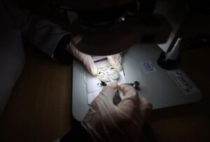 HATAY (AA) – SERKAN AVCİ/ÜNAL UYSAL – Kahramanmaraş merkezli 6