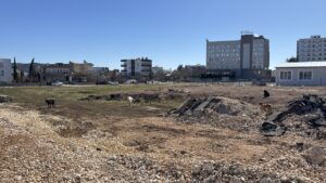 ADIYAMAN (AA) – Adıyaman Belediyesi sınırlarında sahipsiz köpeklerin okula giden