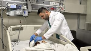 GAZİANTEP (AA) – Adıyaman'ın Gölbaşı Belediyesi sınırlarında sahipsiz köpeklerin saldırısına