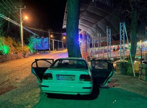 ANTALYA (AA) – Antalya'nın Alanya ilçesinde otomobilin ağaca çarpması sonucu