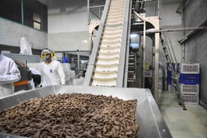 ANKARA (AA) – Ankara Büyükşehir Belediyesi (ABB) Halk Ekmek Fabrikasının