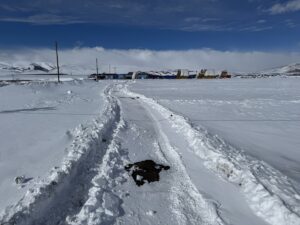 ARDAHAN (AA) – Ardahan'da ulaşıma kapalı bulunan köy yollarında karla