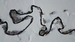 BAYBURT (AA) – Bayburt'un Demirözü ilçesinde karla kaplanan menderesler güzel