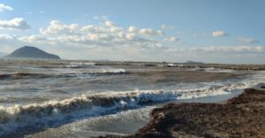 MUĞLA (AA) – Muğla'nın Bodrum ilçesinde fırtına yaşamı olumsuz etkiledi.