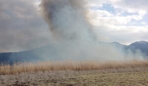 BURDUR (AA) – Burdur'un Gölhisar ilçesinde sazlık alanda çıkan yangına