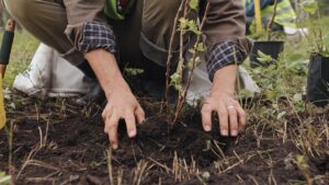 ANKARA (AA) – Çevre, Şehircilik ve İklim Değişikliği Bakanı Murat