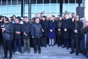 VAN (AA) – DEM Parti Eş Genel Başkanı Tülay Hatimoğulları,