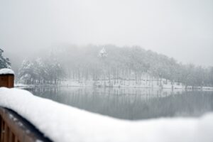 DÜZCE (AA) – Düzce'nin Kaynaşlı ilçesinde kar yağışının ardından beyaza