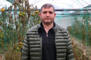 HATAY (AA) – Hatay'ın Defne ilçesinde bazı seralarda yetiştirilen sebzelerde