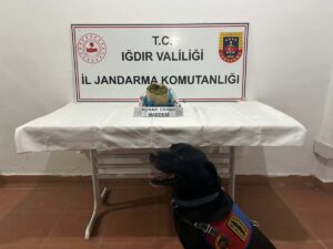 IĞDIR (AA) – Iğdır'da bir otomobilde 1 kilogram kubar esrar