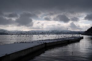 İSTANBUL (AA) – İstanbul'un bazı ilçelerinde kar yağışı aralıklarla hafif