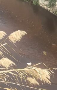 ANKARA (AA)- Çevre, Şehircilik ve İklim Değişikliği Bakanlığı, Harmandalı Katı