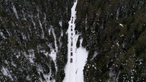 KASTAMONU (AA) – Kastamonu'da, yaban hayvanlarının ağır kış şartlarında yiyecek